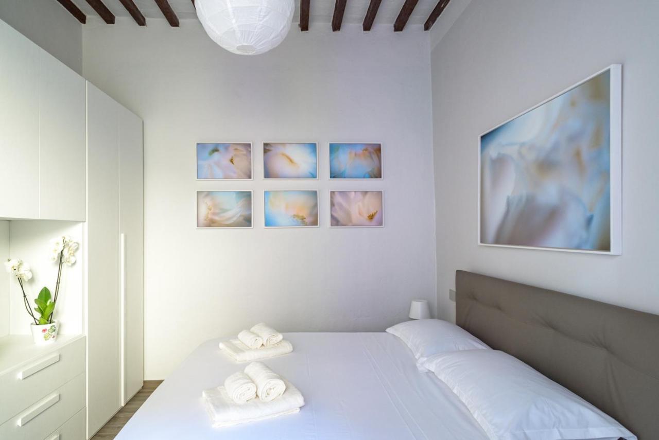 Pisa Art Apartment Esterno foto