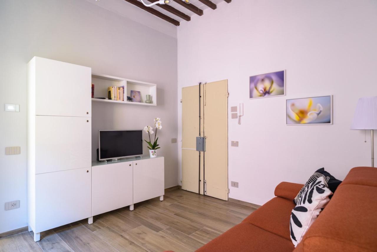 Pisa Art Apartment Esterno foto